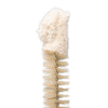 Borstel voor reageerbuisjes